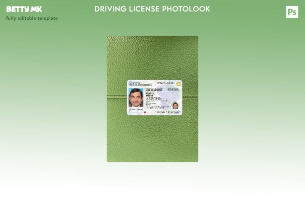 модерен стил на САД Њу Хемпшир возачка дозвола претставува photolook предниот ша